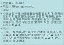 불란서 음식 54페이지