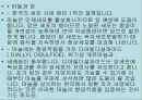 불란서 음식 63페이지
