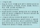 불란서 음식 78페이지