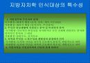한국지방자치의 변천 5페이지