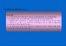 한국지방자치의 변천 15페이지