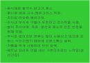 태국,베트남의 음식문화 24페이지
