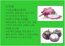 태국,베트남의 음식문화 34페이지