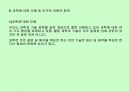 종교와 과학 14페이지