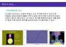 자동차와 물리 14페이지