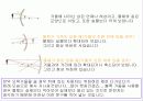 자동차와 물리 19페이지