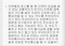 교통카드 3페이지