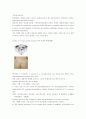 피부손상 소양 구진 반 결절 팽진 대수포 소수포 미란 농포 위축 궤양 4페이지