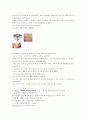 피부손상 소양 구진 반 결절 팽진 대수포 소수포 미란 농포 위축 궤양 5페이지