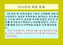 일본 교과서 역사 왜곡문제 16페이지
