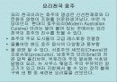 호주와 뉴질랜드의 음식문화 14페이지