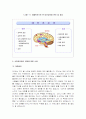 [보건학]사회공포증(대인공포증)의 원인 및 사례분석(A+리포트) 9페이지