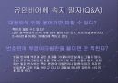 단속 카메라에 대해서.. 11페이지