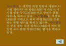 ‘DMB’에 관한 보고서 5페이지