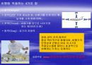 비행의 원리 4페이지