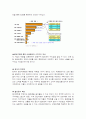 우리나라 백화점의 문제점과 발전방향 10페이지