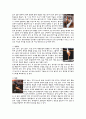 체조의 역사 및 각 종목의 특성 5페이지