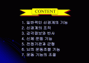 신경 구조 및 운동 2페이지