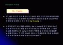 신경 구조 및 운동 12페이지