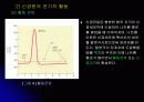 신경 구조 및 운동 13페이지
