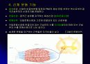 신경 구조 및 운동 21페이지