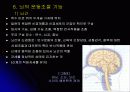 신경 구조 및 운동 23페이지