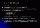 신경 구조 및 운동 24페이지
