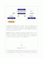 기능성화장품 13페이지
