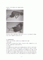 만성질환 노인 보건교육 계획안 14페이지