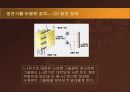 정전기와 탄소연대측정에 대해서... 12페이지