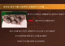 정전기와 탄소연대측정에 대해서... 16페이지