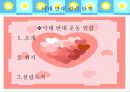 낙태 파워포인트 12페이지