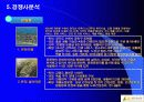 서울시니어스타워의 실버마케팅 전략 29페이지