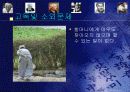 노인복지 12페이지