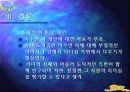이수만의 리더십 14페이지