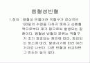 빈혈에 대하여 11페이지