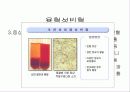 빈혈에 대하여 13페이지
