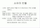 빈혈에 대하여 19페이지