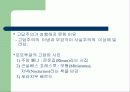 포르투갈 고답주의 파워포인트 7페이지
