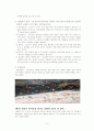 소비자 의사결정과 마케팅전략 7페이지