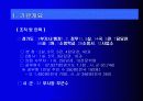 블루오션 전략 추진계획(안) 3페이지