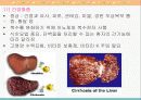 노화와 신체적 변화 21페이지
