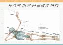 노화와 신체적 변화 23페이지