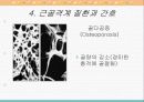노화와 신체적 변화 28페이지