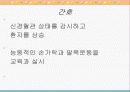 노화와 신체적 변화 40페이지