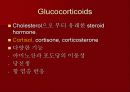 호르몬의 작용 기전에 관한 팀프로젝트~파워포인트[A+받는 특급 자료] 12페이지