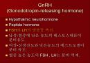 호르몬의 작용 기전에 관한 팀프로젝트~파워포인트[A+받는 특급 자료] 18페이지