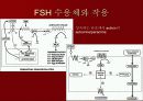 호르몬의 작용 기전에 관한 팀프로젝트~파워포인트[A+받는 특급 자료] 22페이지