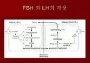 호르몬의 작용 기전에 관한 팀프로젝트~파워포인트[A+받는 특급 자료] 24페이지