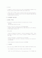 아르헨티나의 IT산업에 대한 현황분석 및 한국 기업의 진출 전략 10페이지